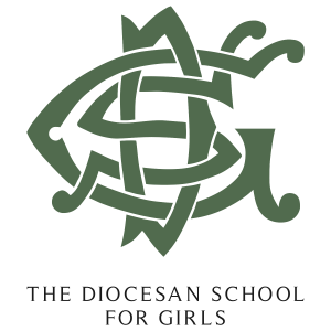 DSG_Main_Logo-with_tagline