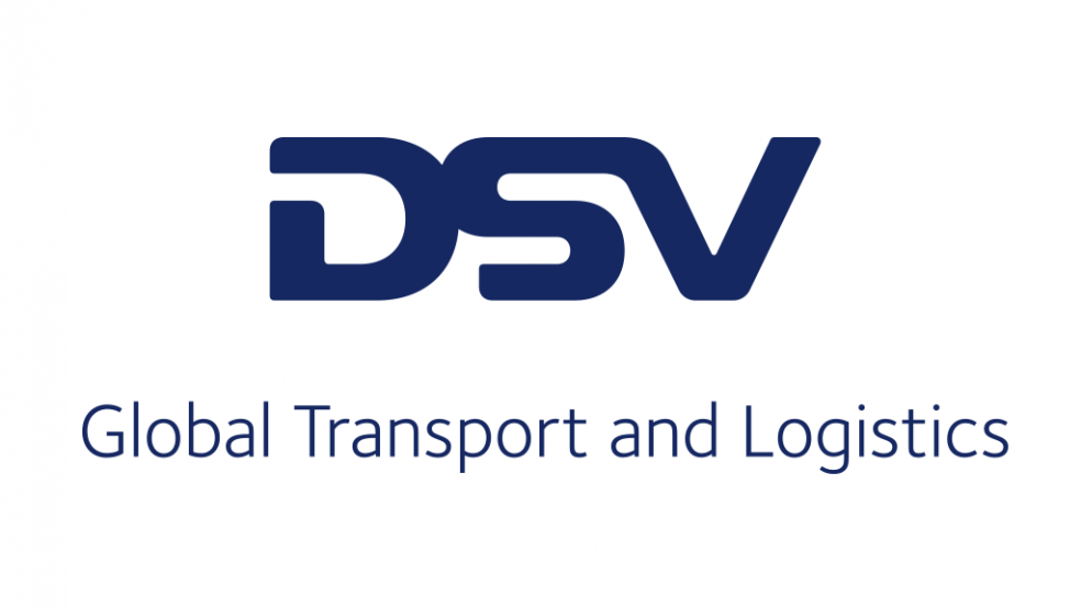 DSV-Large